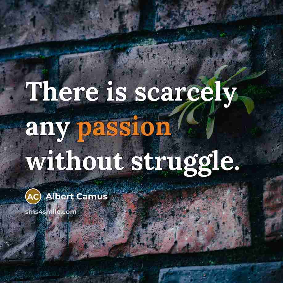 “There is scarcely any passion without struggle.” quote by Albert Camus