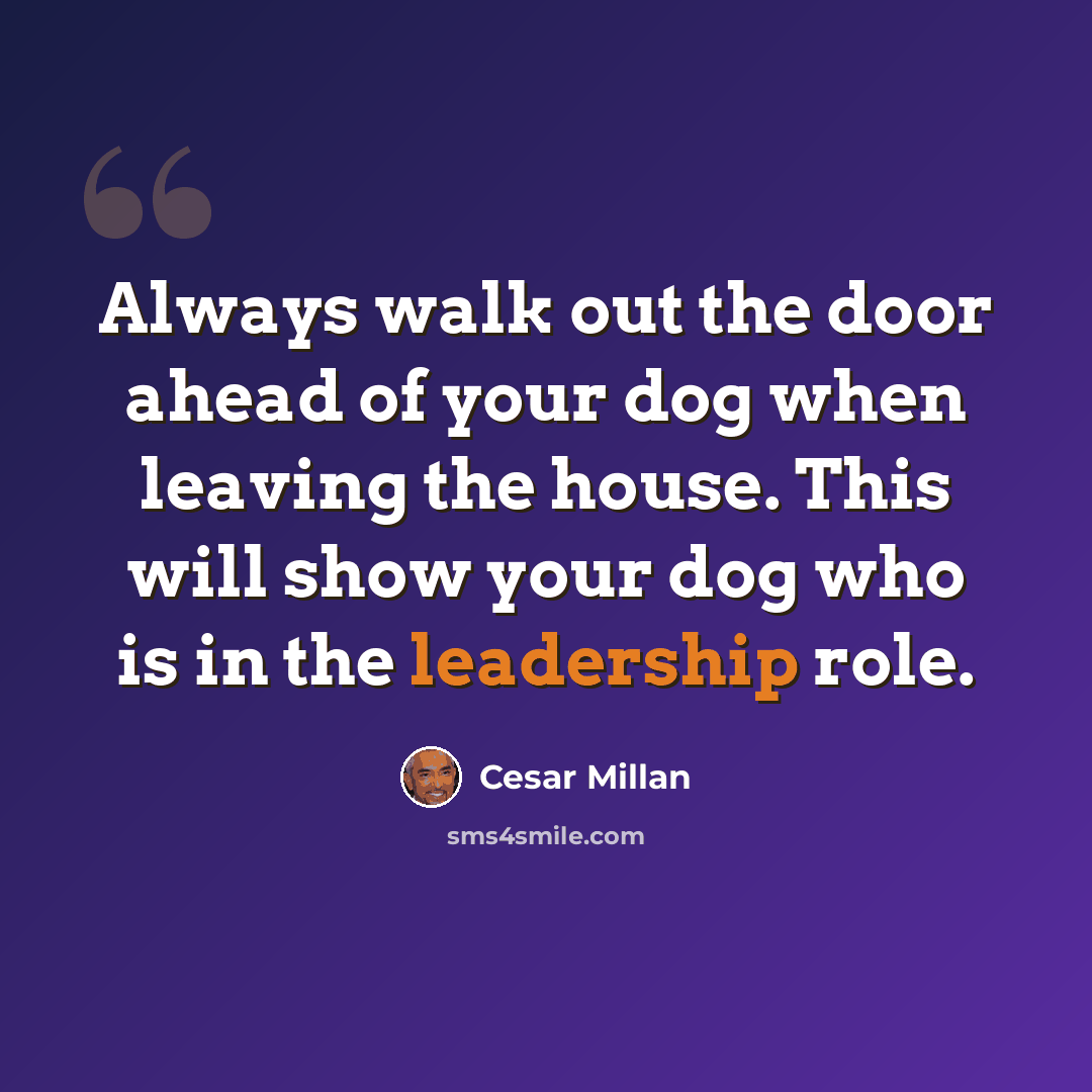 “Always walk out the door ahead of your dog when leaving the house. This will show your dog who is in the leadership role.” quote by Cesar Millan