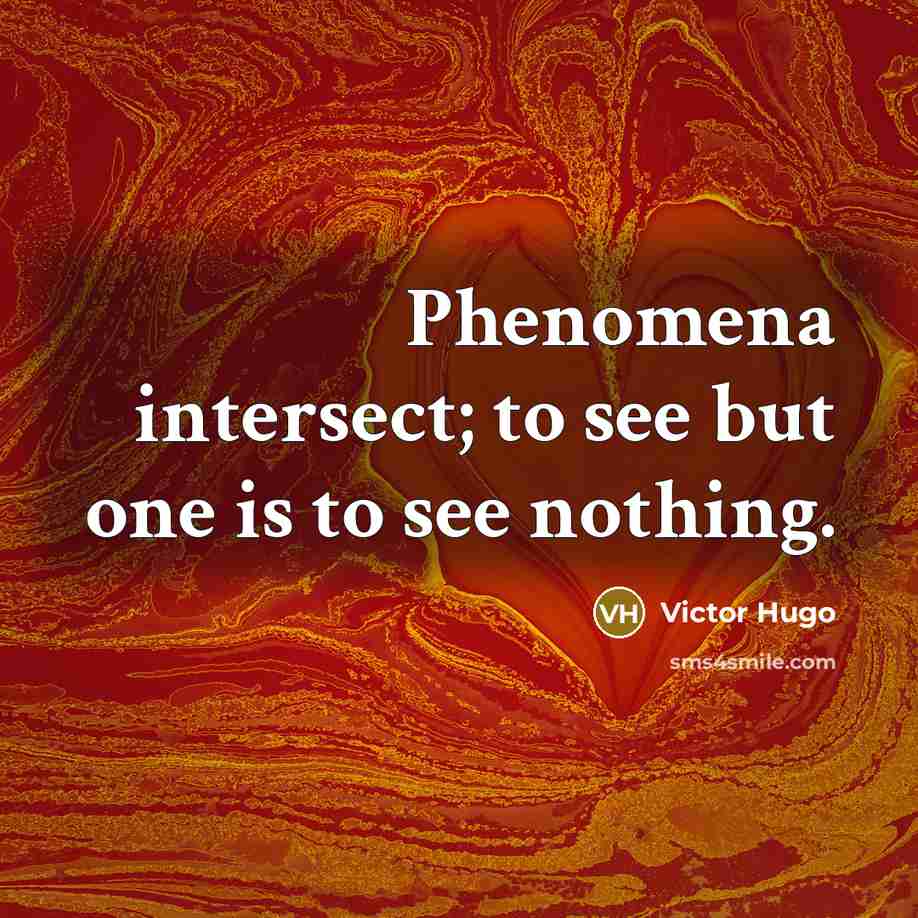 “Phenomena intersect; to see but one is to see nothing.” quote by Victor Hugo