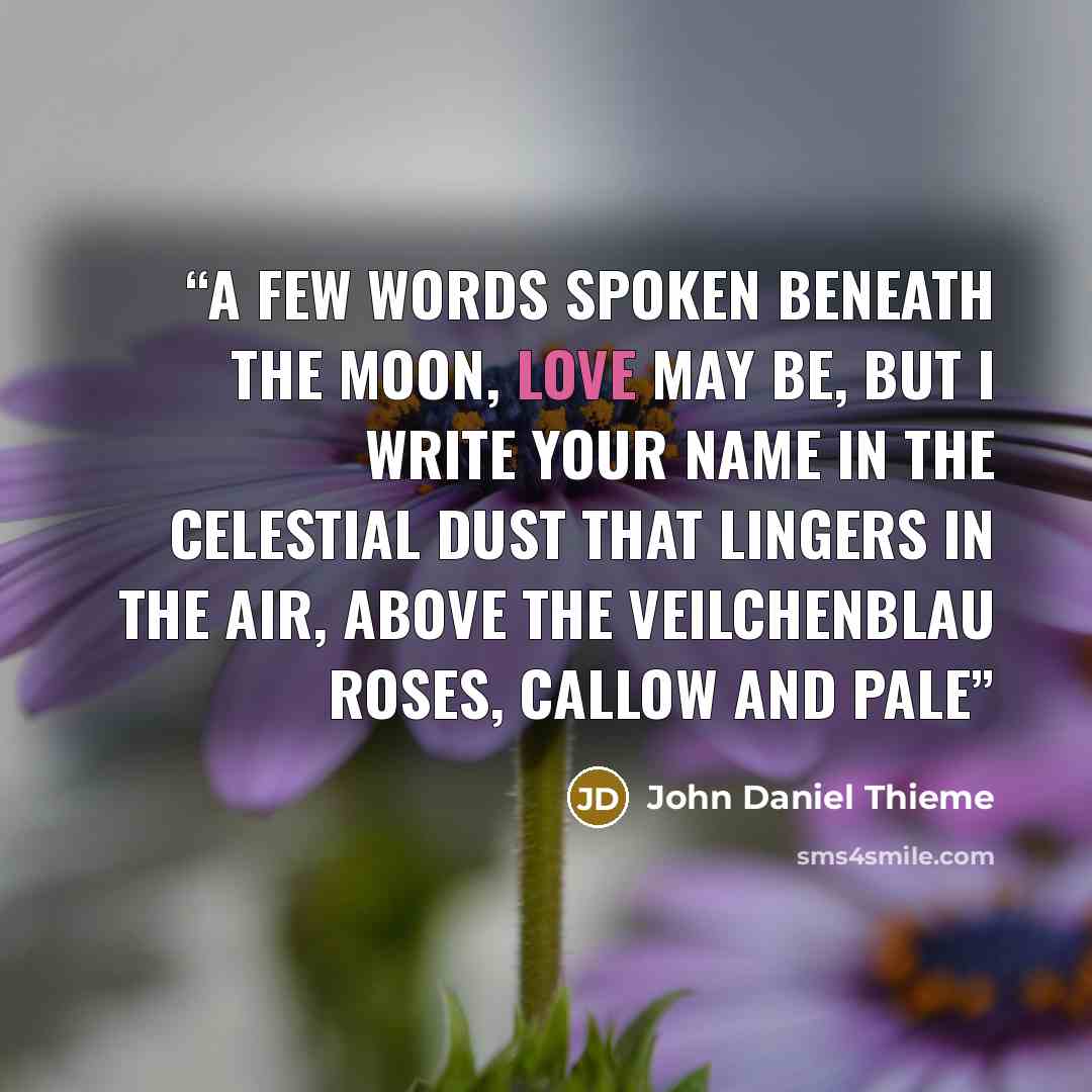 “a few words spoken beneath the moon, love may be, but I write your name in the celestial dust that lingers in the air, above the veilchenblau roses, callow and pale” quote by John Daniel Thieme
