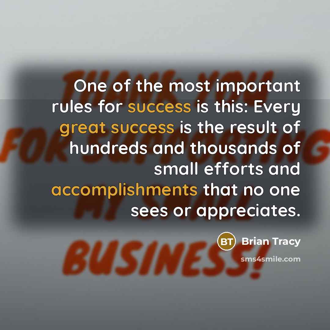 “One of the most important rules for success is this: Every great success is the result of hundreds and thousands of small efforts and accomplishments that no one sees or appreciates.” quote by Brian Tracy