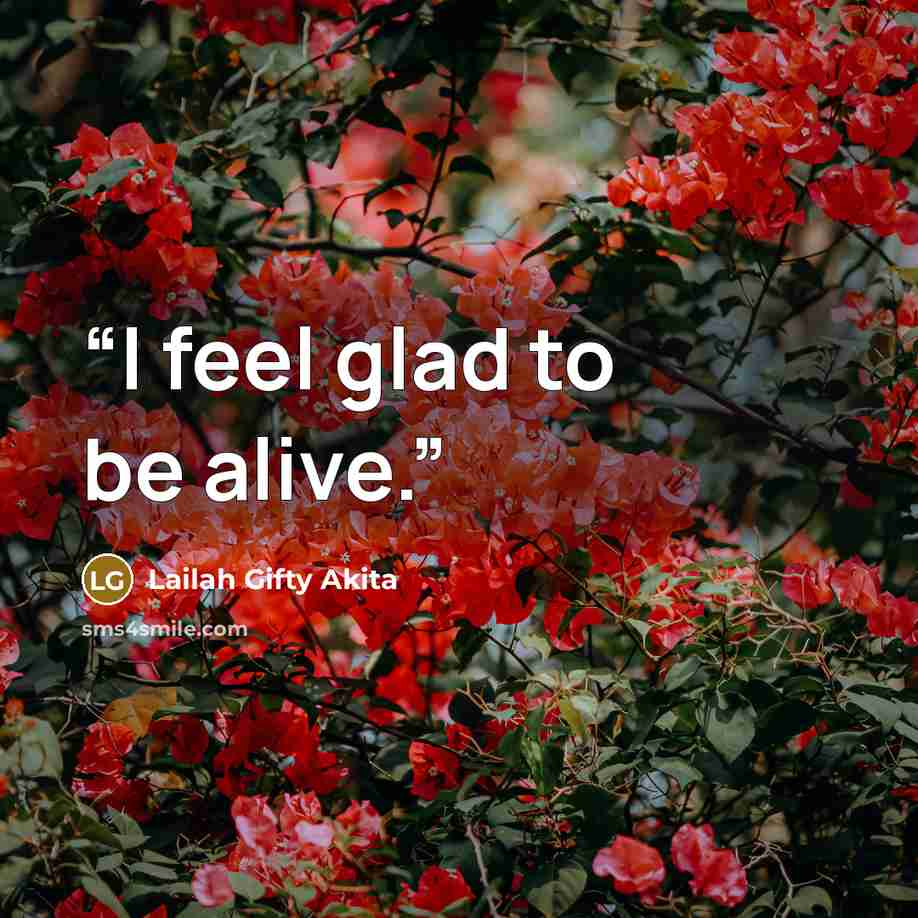 “I feel glad to be alive.” quote by Lailah Gifty Akita
