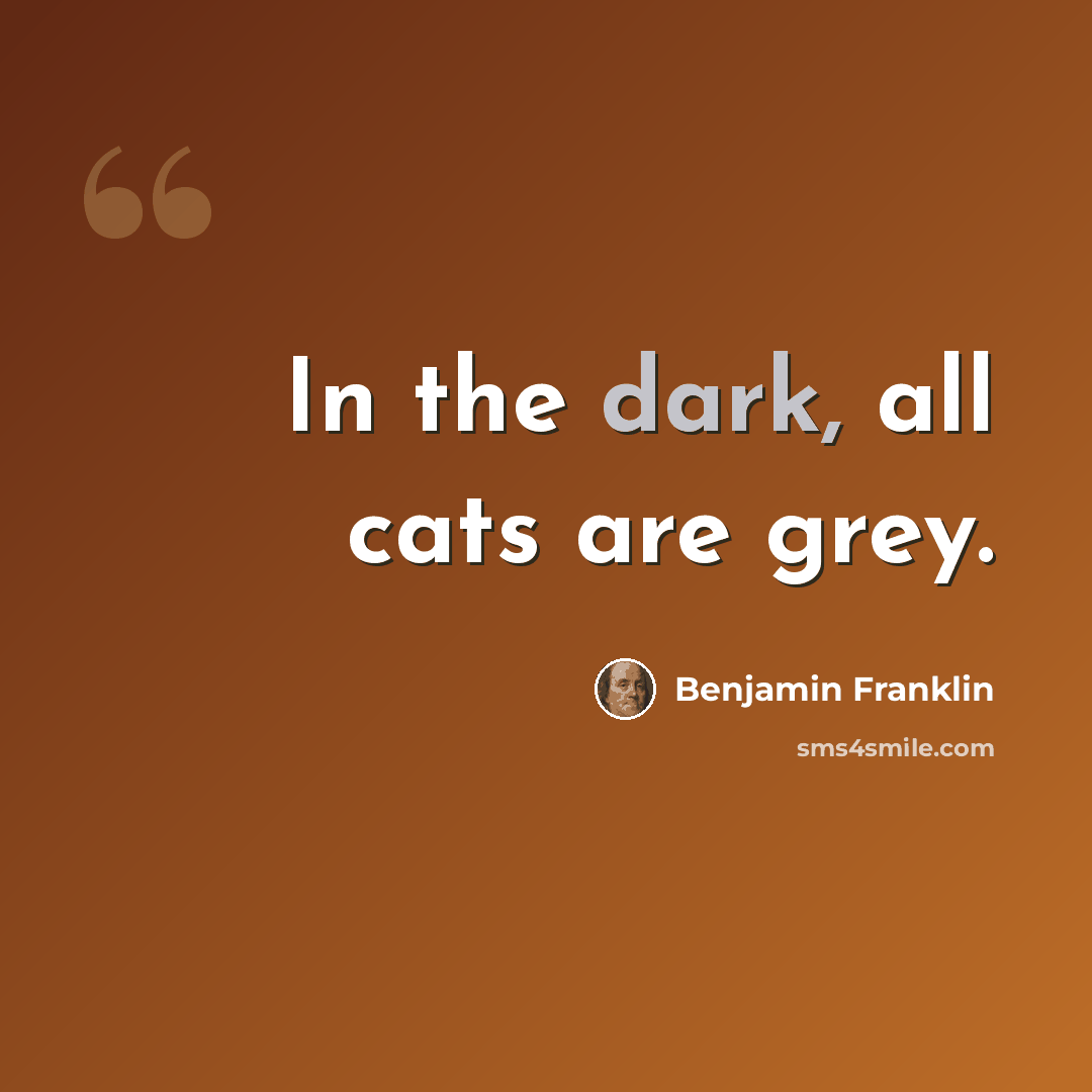 “In the dark, all cats are grey.” quote by Benjamin Franklin