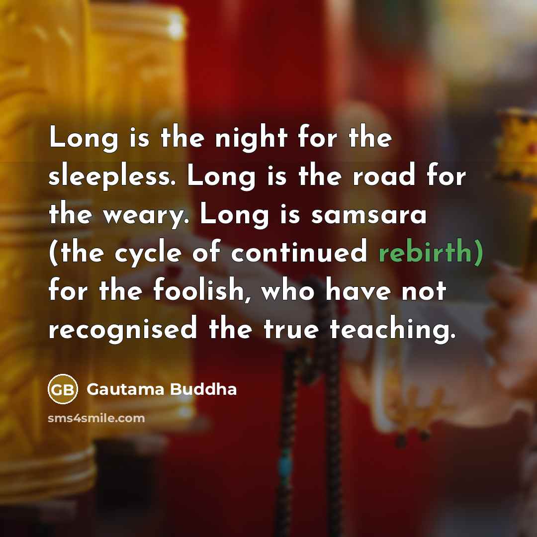 “Long is the night for the sleepless. Long is the road for the weary. Long is samsara (the cycle of continued rebirth) for the foolish, who have not recognised the true teaching.” quote by Gautama Buddha
