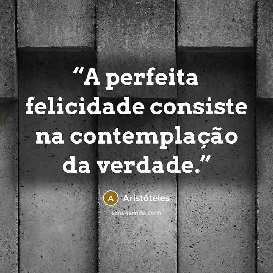 “A perfeita felicidade consiste na contemplação da verdade.” quote by Aristóteles