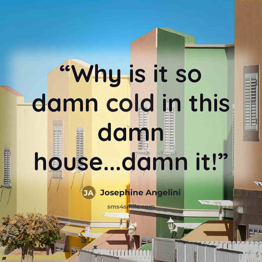 “Why is it so damn cold in this damn house...damn it!” quote by Josephine Angelini