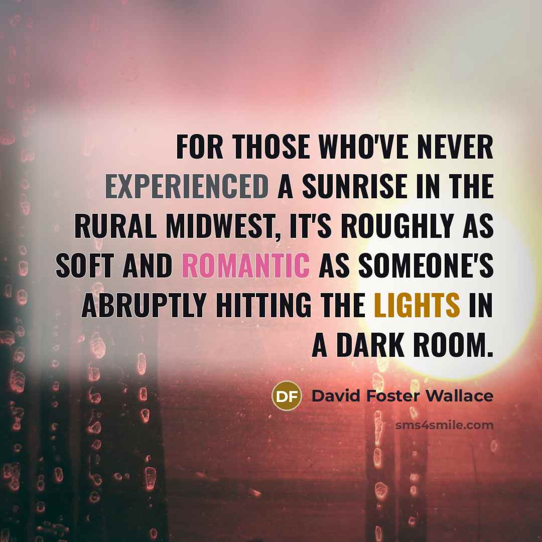 “For those who've never experienced a sunrise in the rural midwest, it's roughly as soft and romantic as someone's abruptly hitting the lights in a dark room.” quote by David Foster Wallace