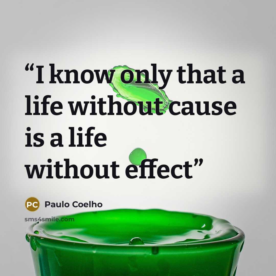 “I know only that a life without cause is a life without effect” quote by Paulo Coelho