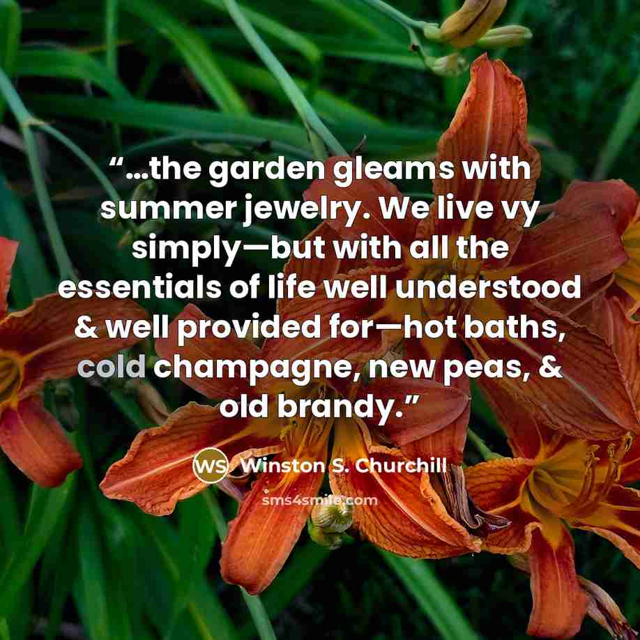 “…the garden gleams with summer jewelry. We live vy simply—but with all the essentials of life well understood & well provided for—hot baths, cold champagne, new peas, & old brandy.” quote by Winston S. Churchill