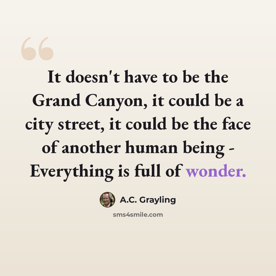 “It doesn't have to be the Grand Canyon, it could be a city street, it could be the face of another human being - Everything is full of wonder.” quote by A.C. Grayling