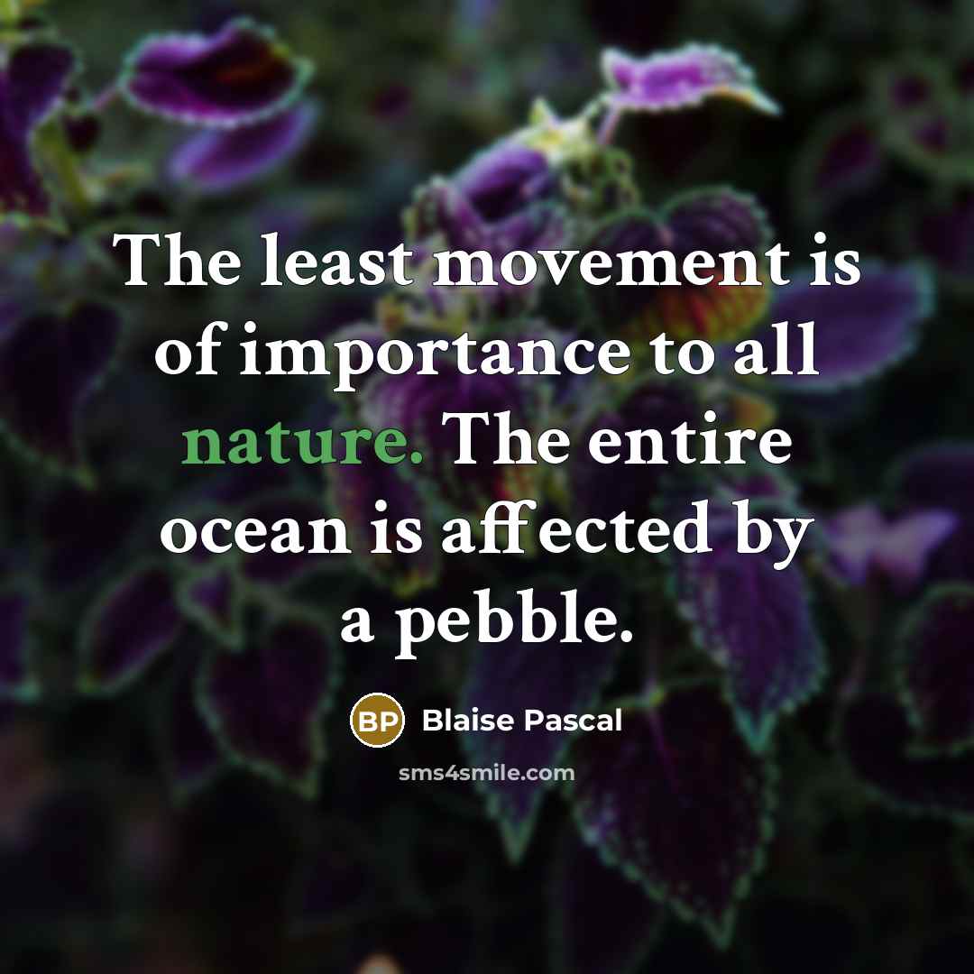 “The least movement is of importance to all nature. The entire ocean is affected by a pebble.” quote by Blaise Pascal