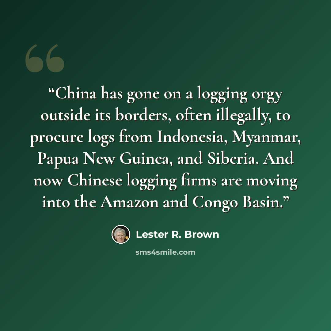 “China has gone on a logging orgy outside its borders, often illegally, to procure logs from Indonesia, Myanmar, Papua New Guinea, and Siberia. And now Chinese logging firms are moving into the Amazon and Congo Basin.” quote by Lester R. Brown
