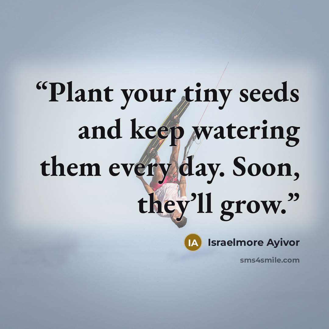 “Plant your tiny seeds and keep watering them every day. Soon, they’ll grow.” quote by Israelmore Ayivor