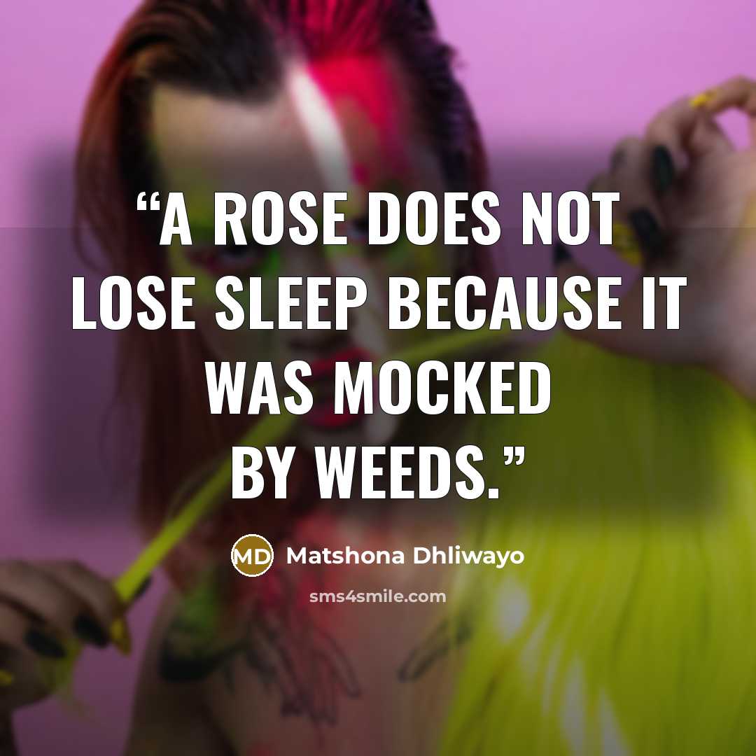 “A rose does not lose sleep because it was mocked by weeds.” quote by Matshona Dhliwayo