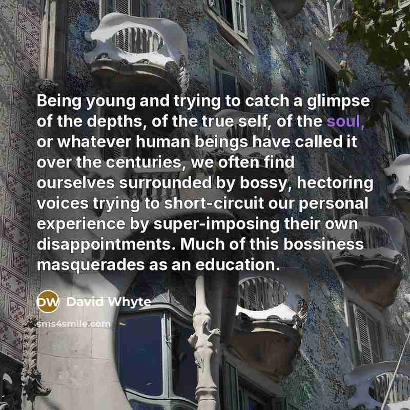 “Being young and trying to catch a glimpse of the depths, of the true self, of the soul, or whatever human beings have called it over the centuries, we often find ourselves surrounded by bossy, hectoring voices trying to short-circuit our personal experience by super-imposing their own…” quote by David Whyte