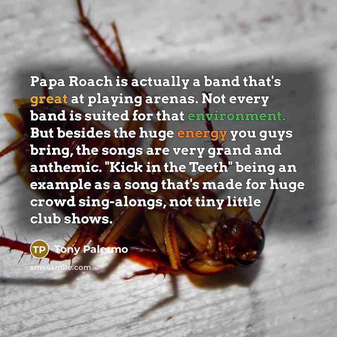 “Papa Roach is actually a band that's great at playing arenas. Not every band is suited for that environment. But besides the huge energy you guys bring, the songs are very grand and anthemic. "Kick in the Teeth" being an example as a song that's made for huge crowd sing-alongs, not tiny little…” quote by Tony Palermo