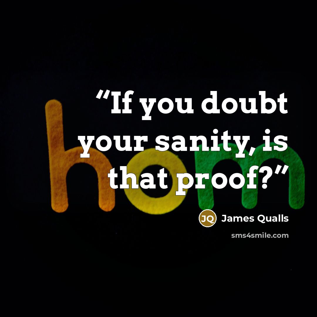 “If you doubt your sanity, is that proof?” quote by James Qualls