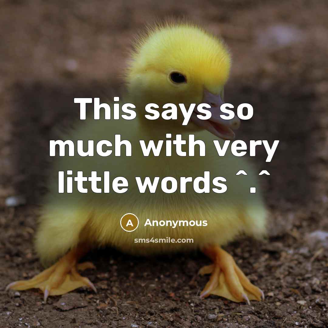 “This says so much with very little words ^.^” quote by Anonymous
