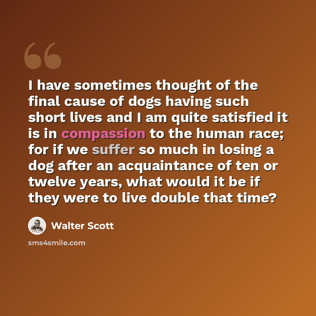 “I have sometimes thought of the final cause of dogs having such short lives and I am quite satisfied it is in compassion to the human race; for if we suffer so much in losing a dog after an acquaintance of ten or twelve years, what would it be if they were to live double that time?” quote by Walter Scott