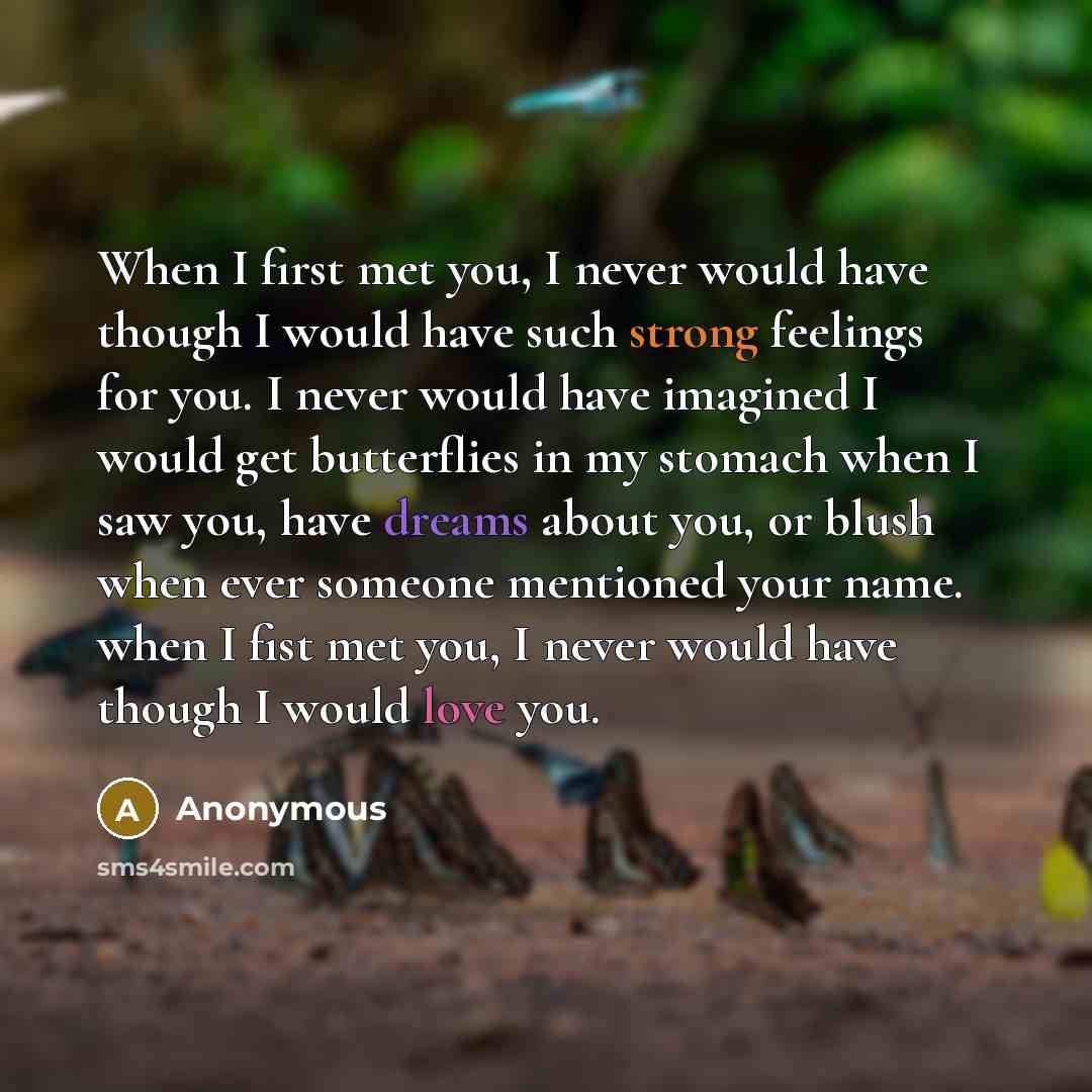 “When I first met you, I never would have though I would have such strong feelings for you. I never would have imagined I would get butterflies in my stomach when I saw you, have dreams about you, or blush when ever someone mentioned your name. when I fist met you, I never would have though I would…” quote by Anonymous