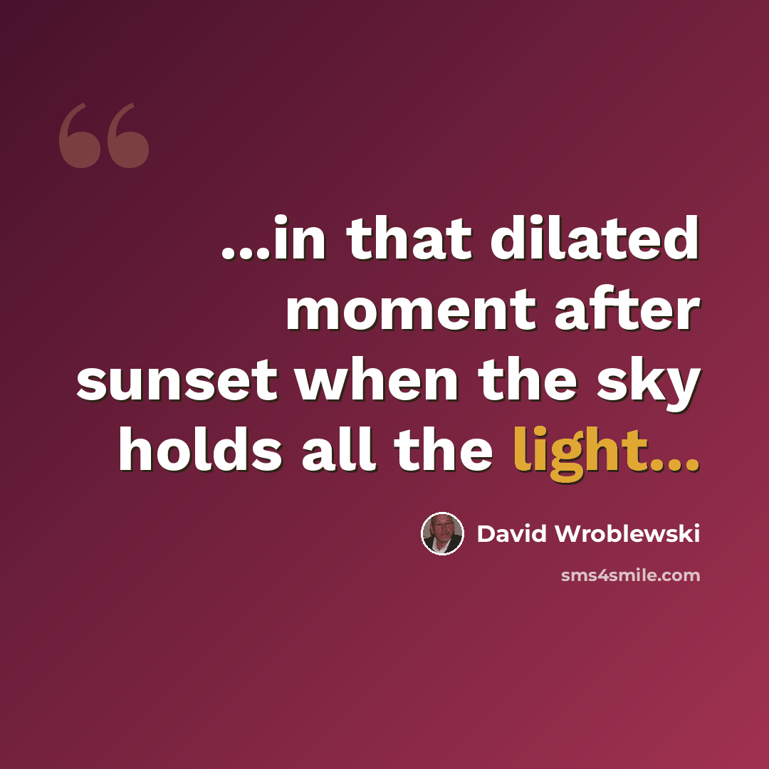 “...in that dilated moment after sunset when the sky holds all the light...” quote by David Wroblewski