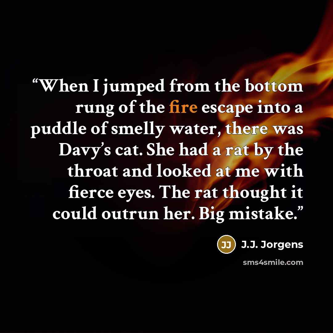 “When I jumped from the bottom rung of the fire escape into a puddle of smelly water, there was Davy’s cat. She had a rat by the throat and looked at me with fierce eyes. The rat thought it could outrun her. Big mistake.” quote by J.J. Jorgens