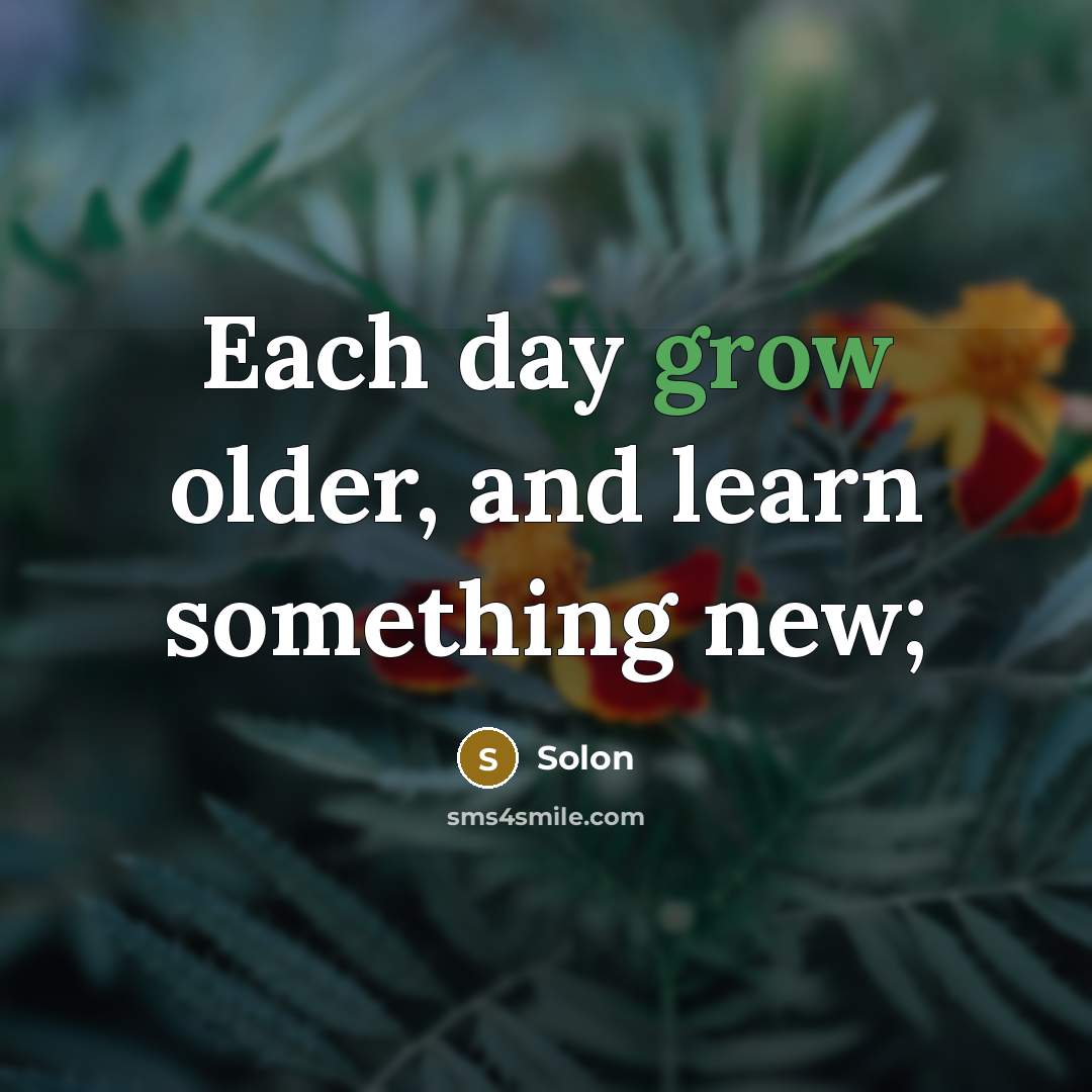 “Each day grow older, and learn something new;” quote by Solon