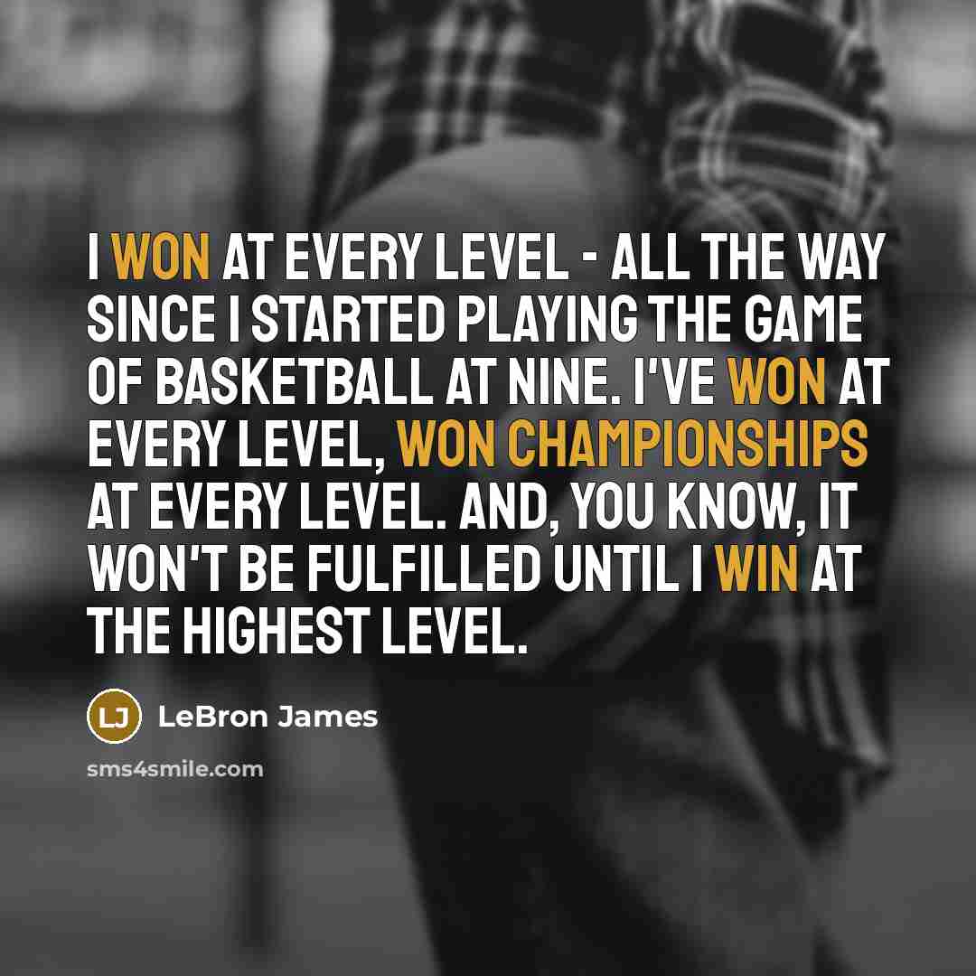 “I won at every level - all the way since I started playing the game of basketball at nine. I've won at every level, won championships at every level. And, you know, it won't be fulfilled until I win at the highest level.” quote by LeBron James
