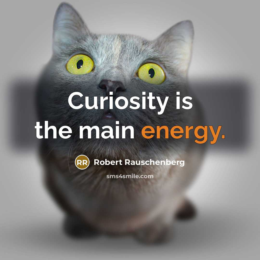 “Curiosity is the main energy.” quote by Robert Rauschenberg