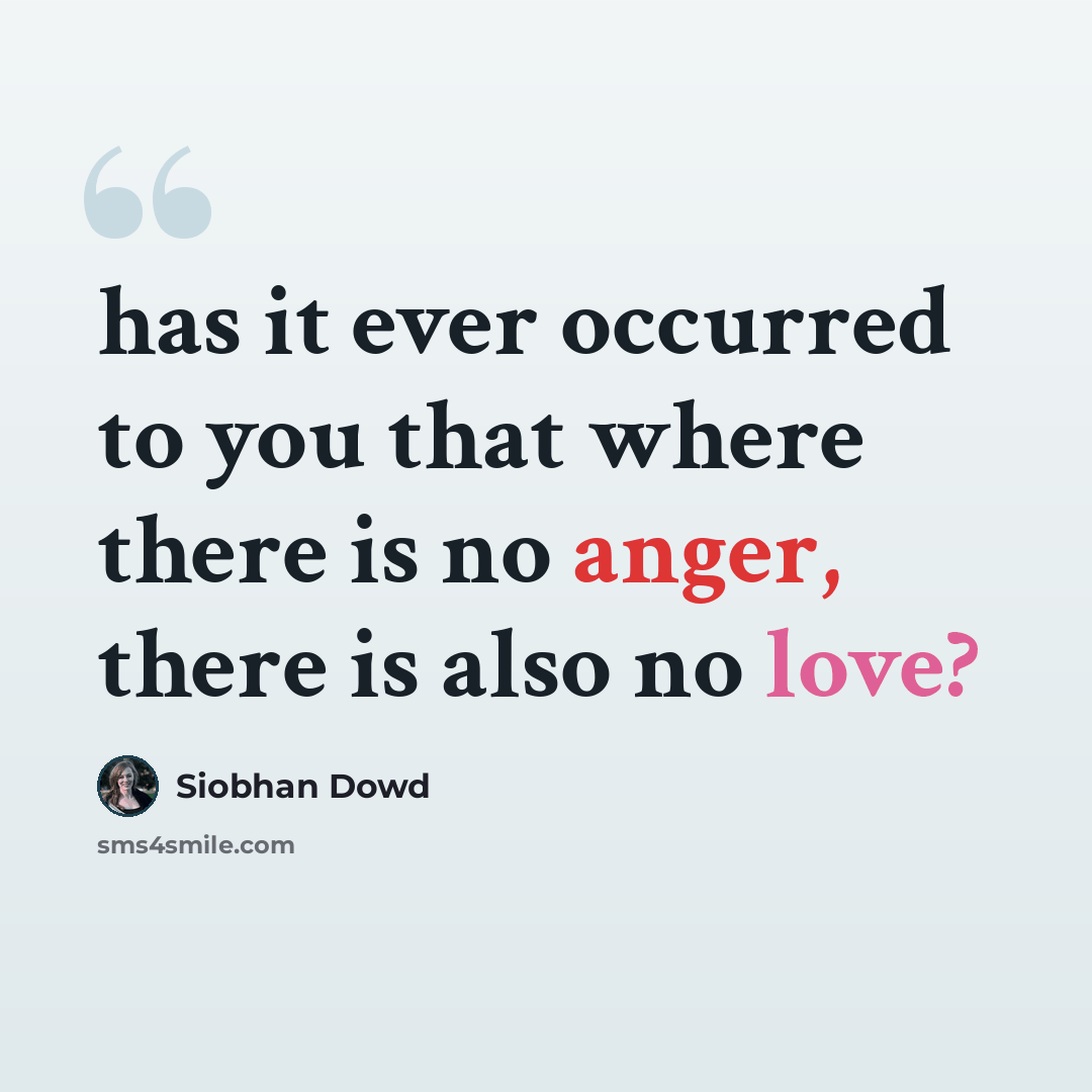 “has it ever occurred to you that where there is no anger, there is also no love?” quote by Siobhan Dowd