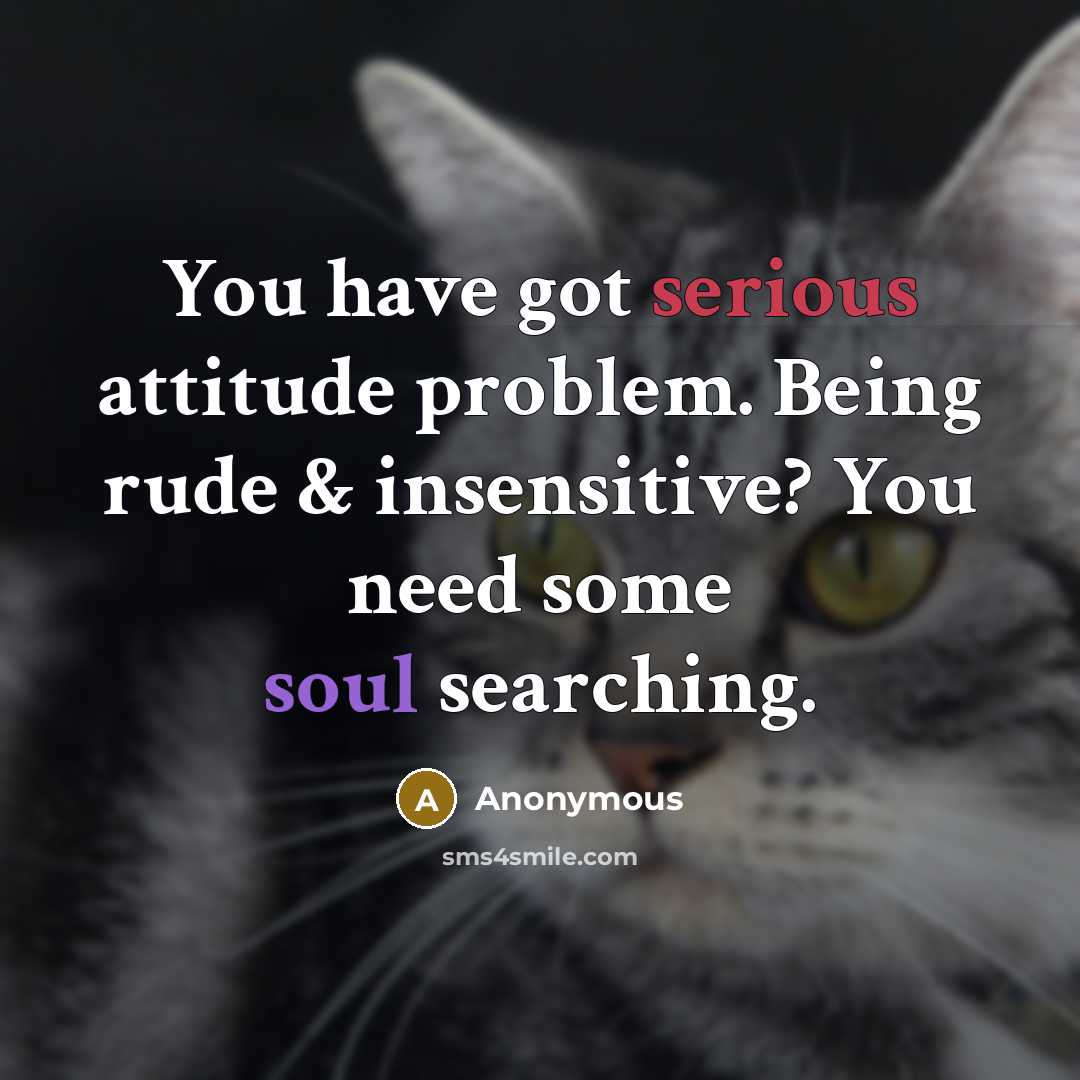 “You have got serious attitude problem. Being rude & insensitive? You need some soul searching.” quote by Anonymous