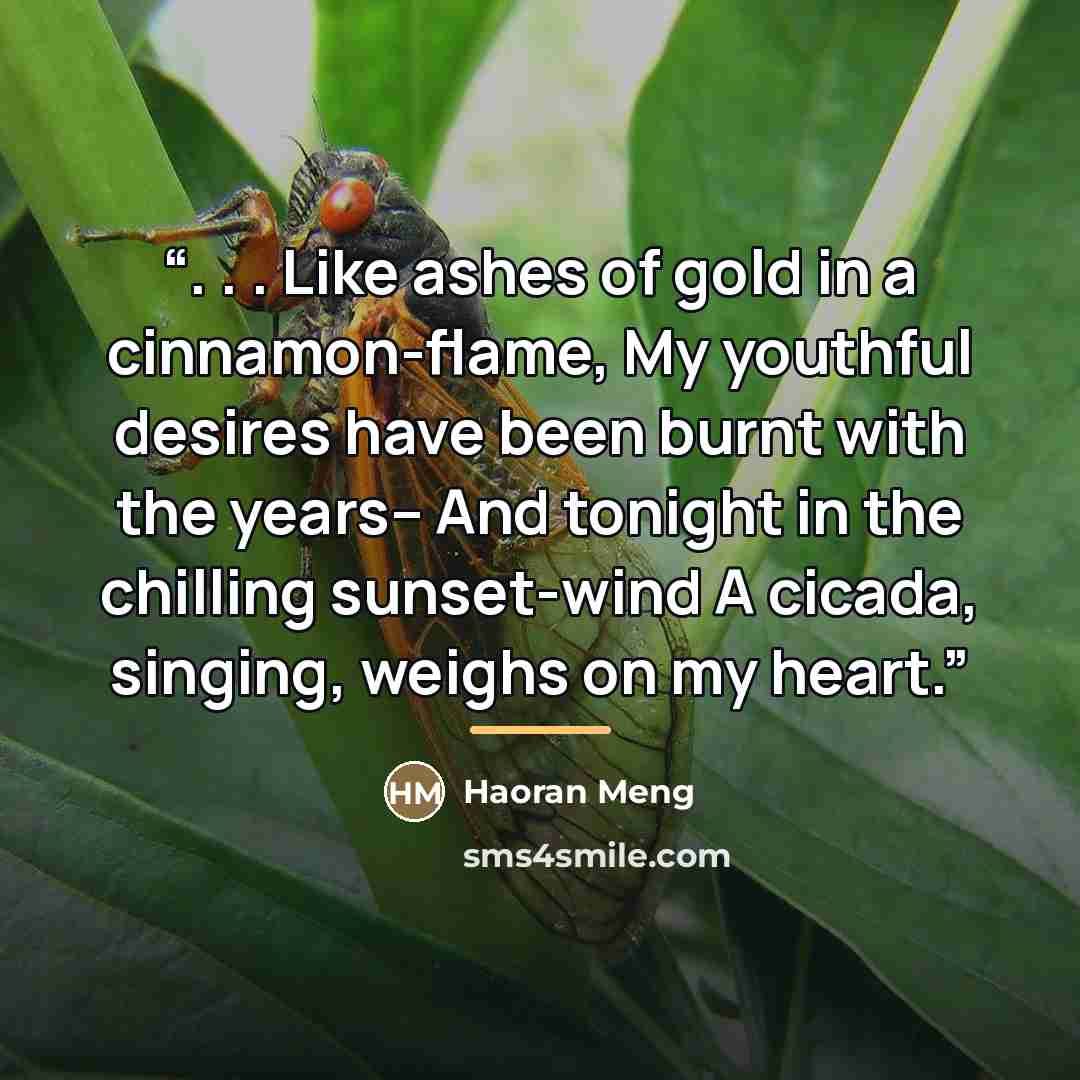 “. . . Like ashes of gold in a cinnamon-flame, My youthful desires have been burnt with the years– And tonight in the chilling sunset-wind A cicada, singing, weighs on my heart.” quote by Haoran Meng