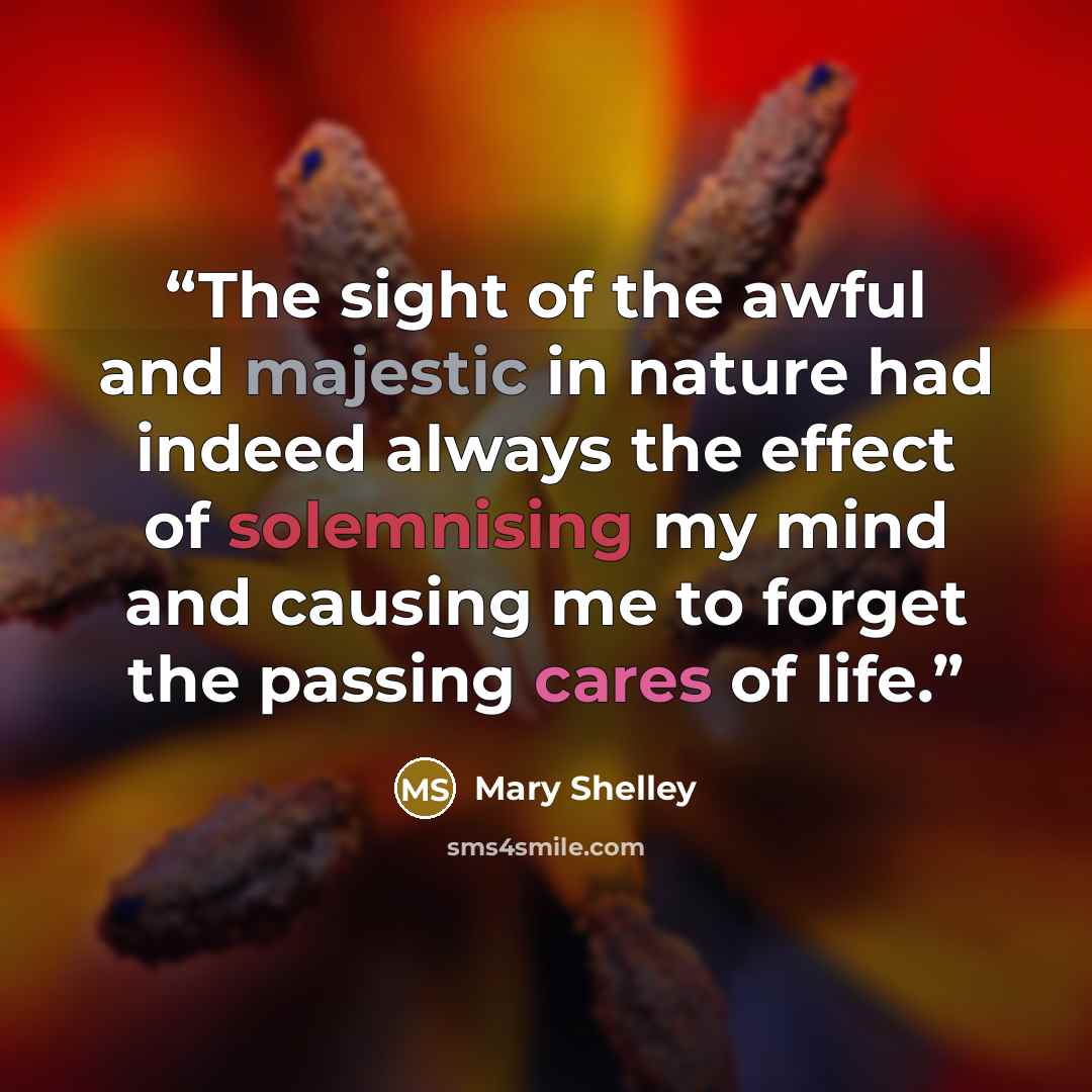 “The sight of the awful and majestic in nature had indeed always the effect of solemnising my mind and causing me to forget the passing cares of life.” quote by Mary Shelley
