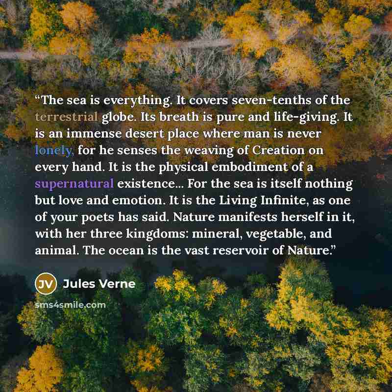 “The sea is everything. It covers seven-tenths of the terrestrial globe. Its breath is pure and life-giving. It is an immense desert place where man is never lonely, for he senses the weaving of Creation on every hand. It is the physical embodiment of a supernatural existence... For the sea is…” quote by Jules Verne