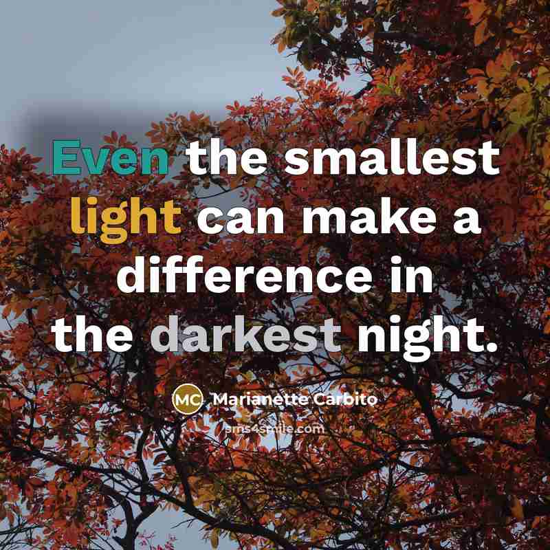 “Even the smallest light can make a difference in the darkest night.” quote by Marianette Carbito
