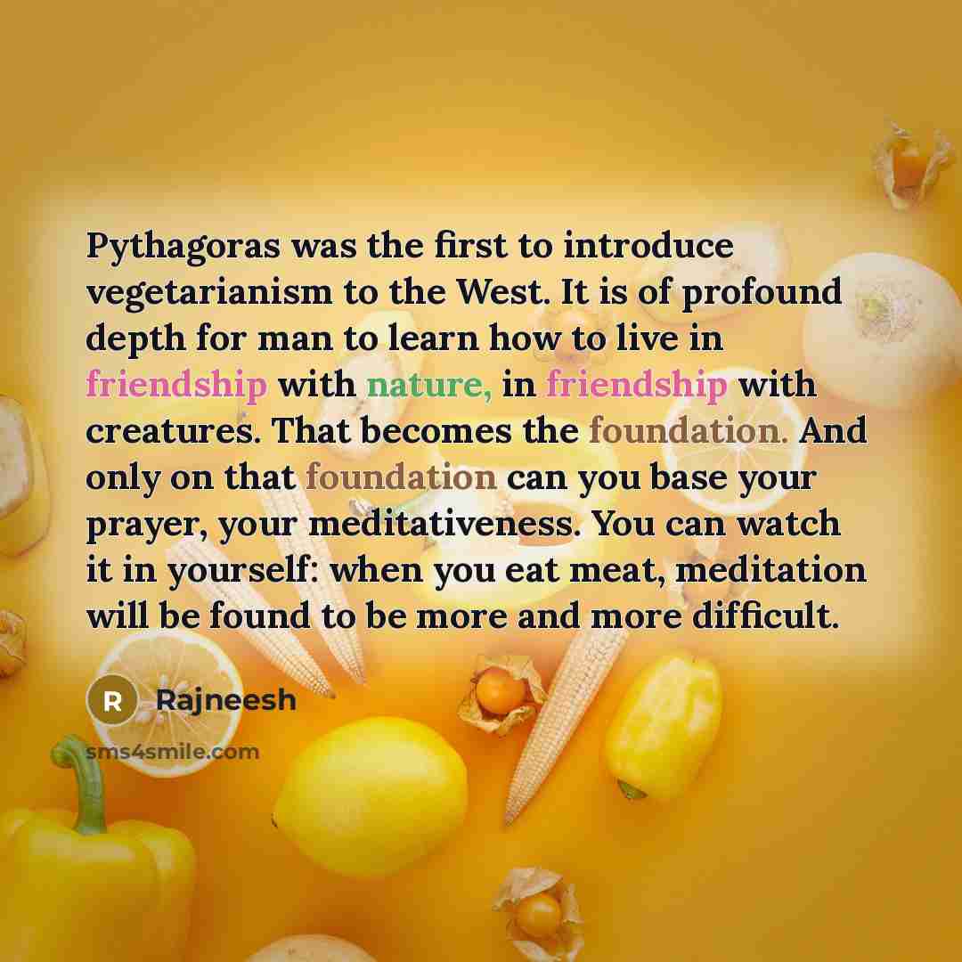 “Pythagoras was the first to introduce vegetarianism to the West. It is of profound depth for man to learn how to live in friendship with nature, in friendship with creatures. That becomes the foundation. And only on that foundation can you base your prayer, your meditativeness. You can watch it in…” quote by Rajneesh