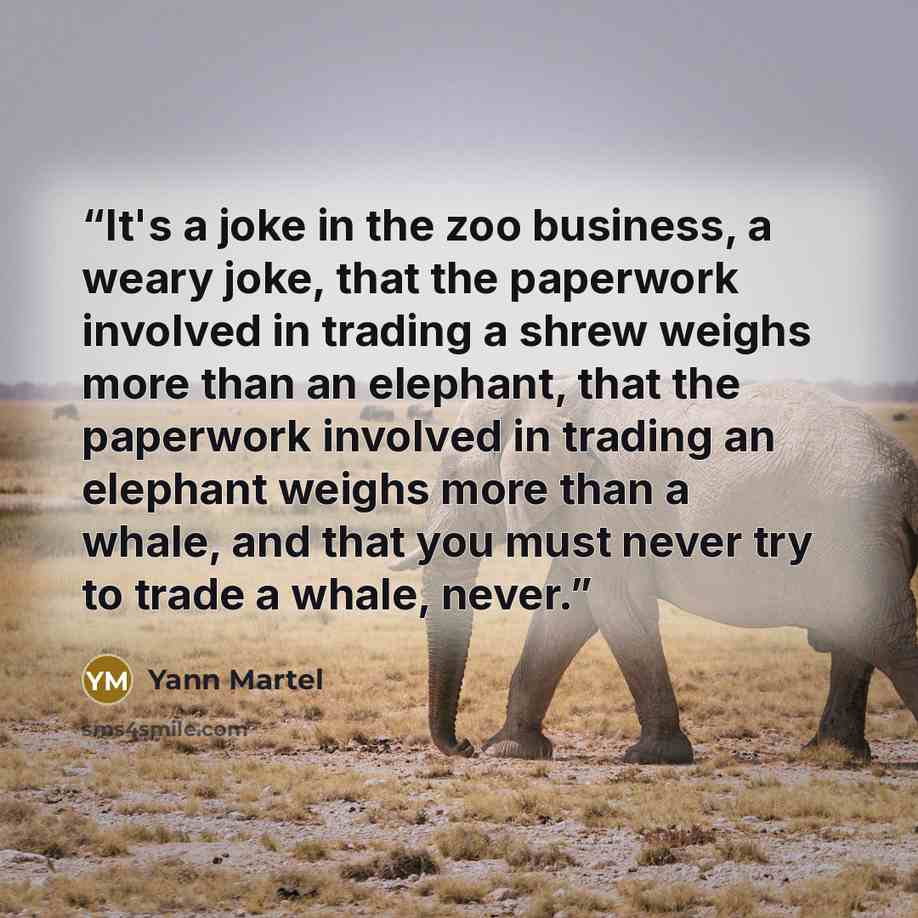 “It's a joke in the zoo business, a weary joke, that the paperwork involved in trading a shrew weighs more than an elephant, that the paperwork involved in trading an elephant weighs more than a whale, and that you must never try to trade a whale, never.” quote by Yann Martel
