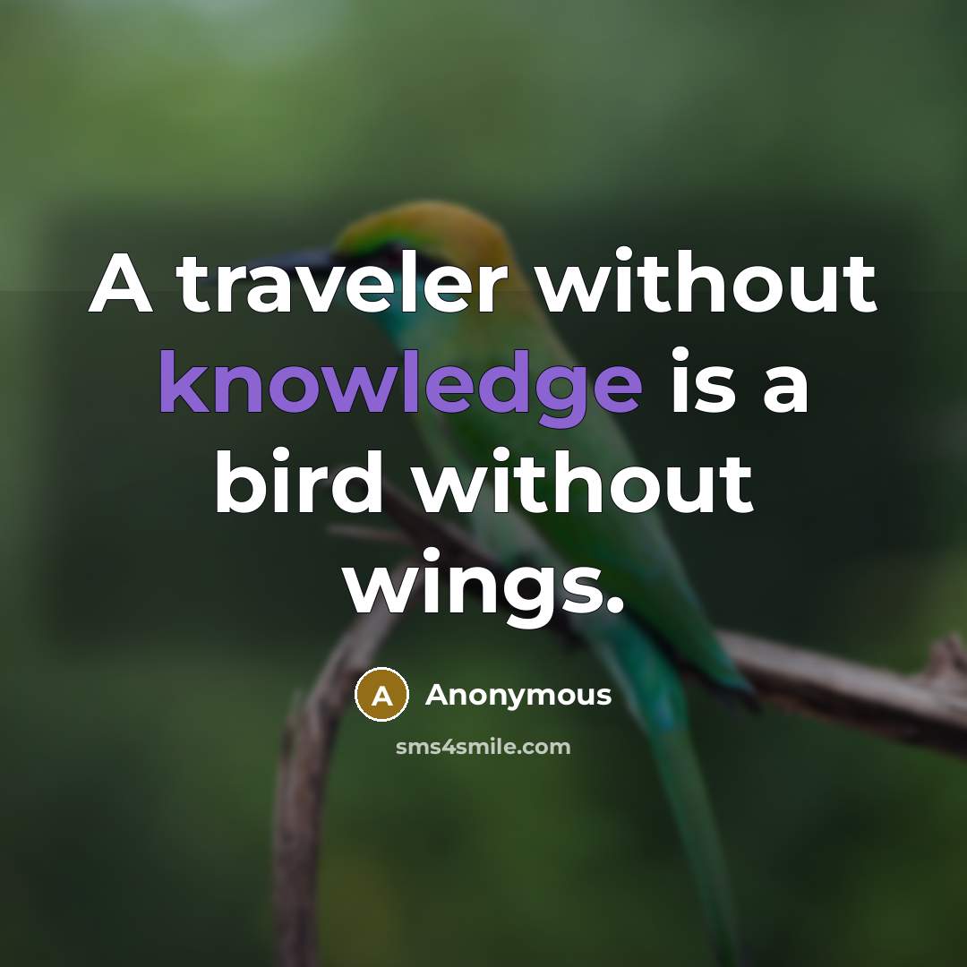 “A traveler without knowledge is a bird without wings.” quote by Anonymous