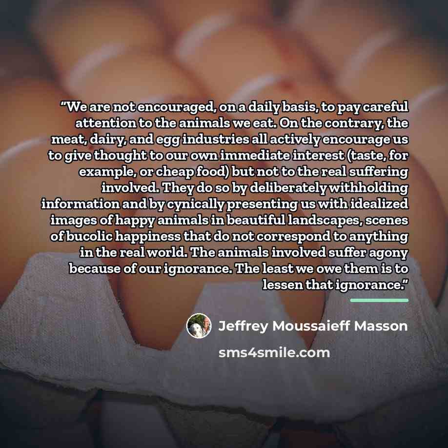 “We are not encouraged, on a daily basis, to pay careful attention to the animals we eat. On the contrary, the meat, dairy, and egg industries all actively encourage us to give thought to our own immediate interest (taste, for example, or cheap food) but not to the real suffering involved. They do…” quote by Jeffrey Moussaieff Masson