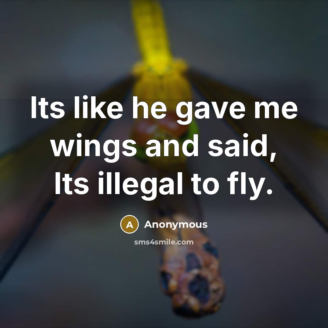 “Its like he gave me wings and said, Its illegal to fly.” quote by Anonymous