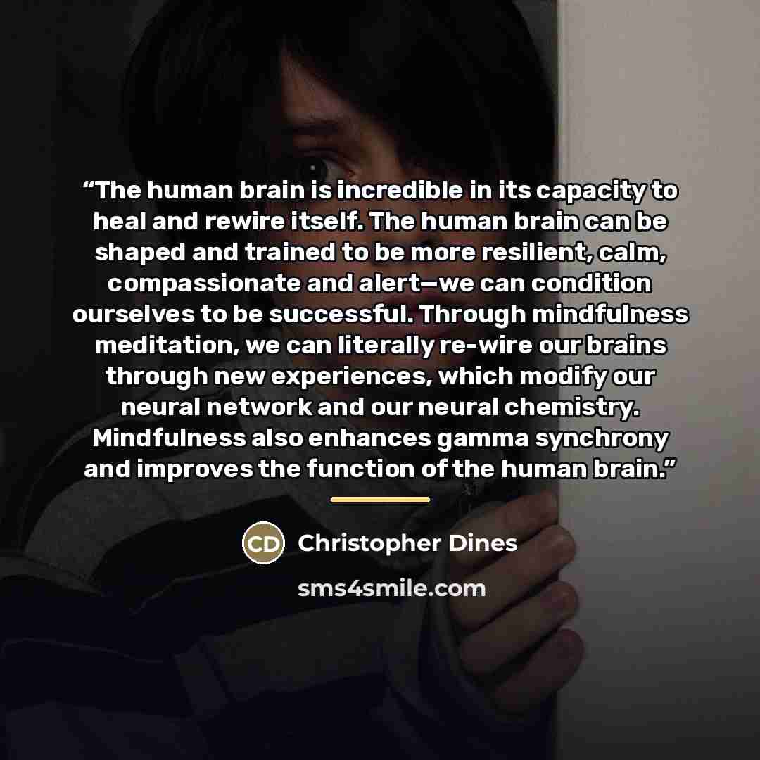 “The human brain is incredible in its capacity to heal and rewire itself. The human brain can be shaped and trained to be more resilient, calm, compassionate and alert—we can condition ourselves to be successful. Through mindfulness meditation, we can literally re-wire our brains through new…” quote by Christopher Dines