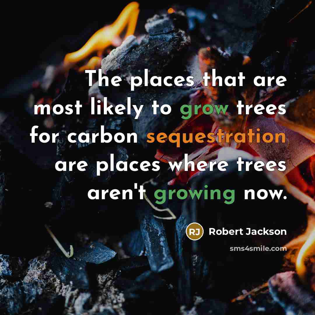“The places that are most likely to grow trees for carbon sequestration are places where trees aren't growing now.” quote by Robert Jackson