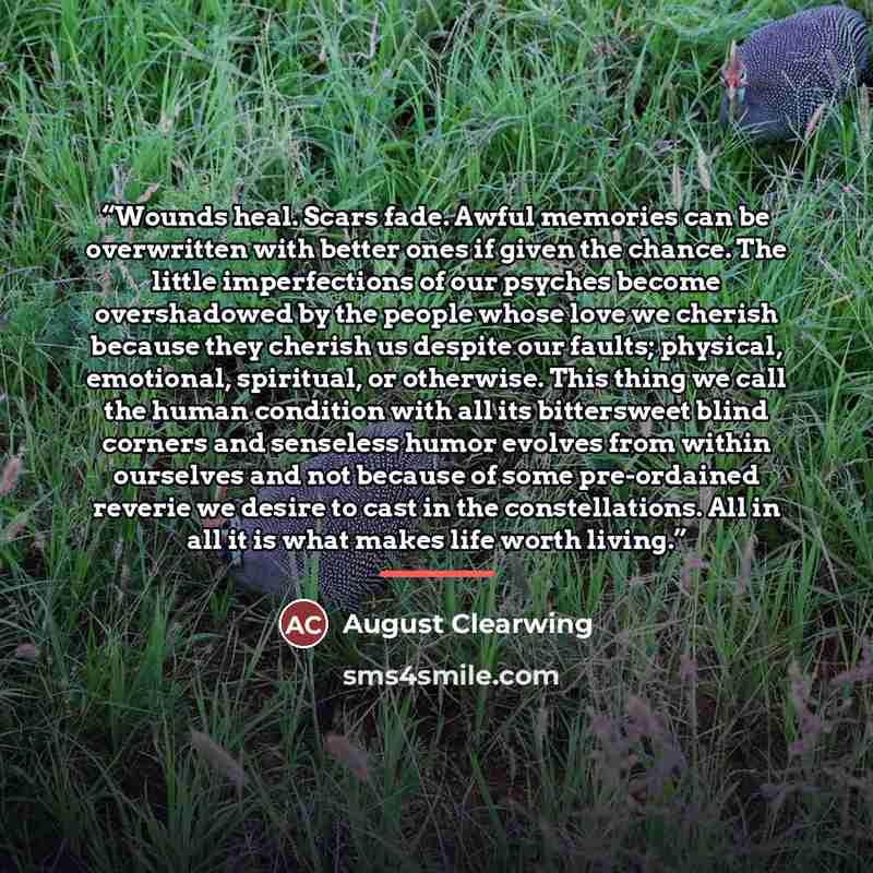 “Wounds heal. Scars fade. Awful memories can be overwritten with better ones if given the chance. The little imperfections of our psyches become overshadowed by the people whose love we cherish because they cherish us despite our faults; physical, emotional, spiritual, or otherwise. This thing we…” quote by August Clearwing