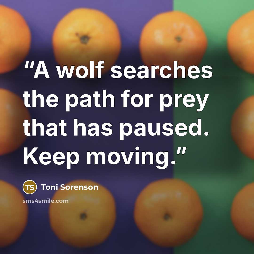 “A wolf searches the path for prey that has paused. Keep moving.” quote by Toni Sorenson