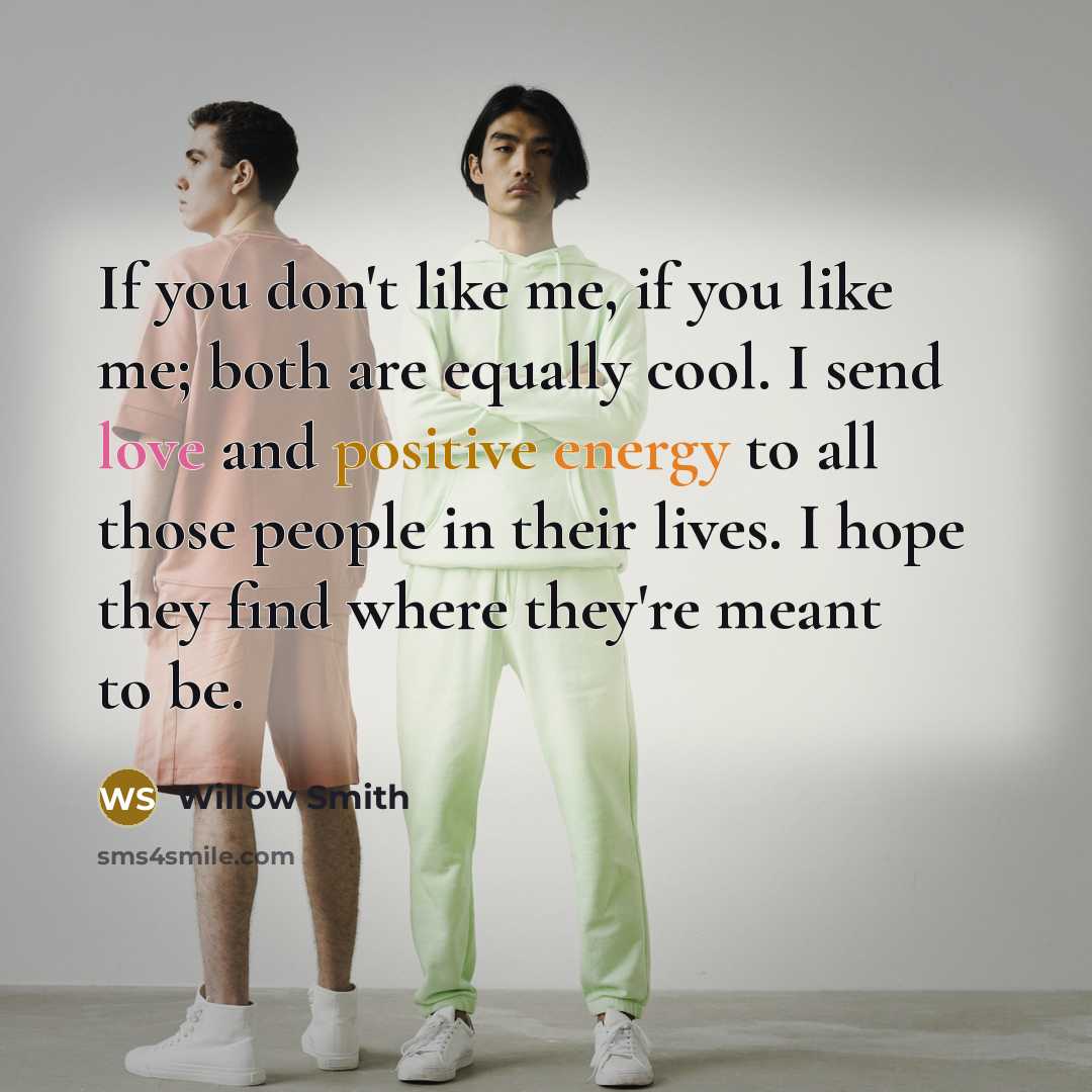 “If you don't like me, if you like me; both are equally cool. I send love and positive energy to all those people in their lives. I hope they find where they're meant to be.” quote by Willow Smith