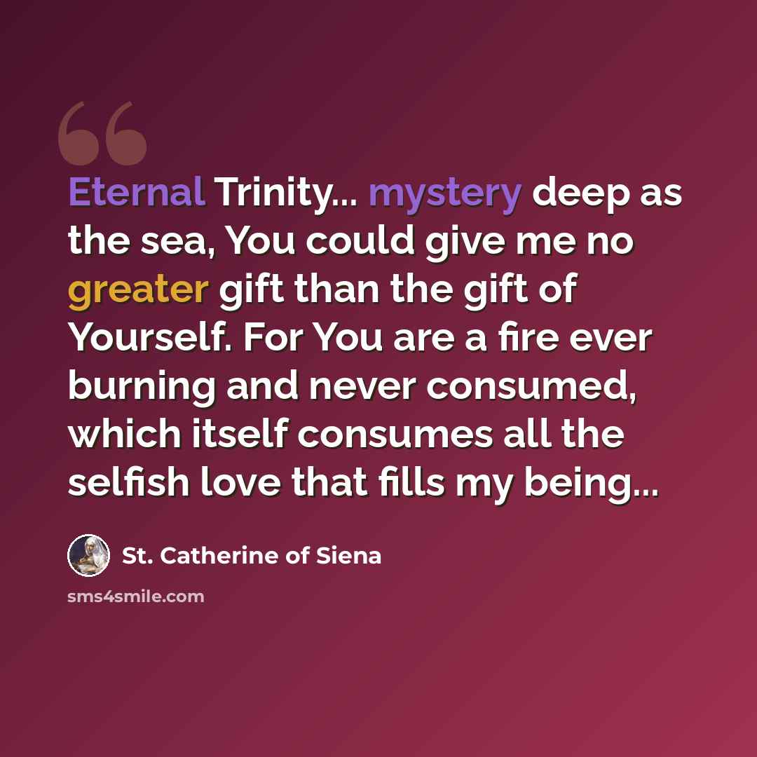 “Eternal Trinity... mystery deep as the sea, You could give me no greater gift than the gift of Yourself. For You are a fire ever burning and never consumed, which itself consumes all the selfish love that fills my being...” quote by St. Catherine of Siena