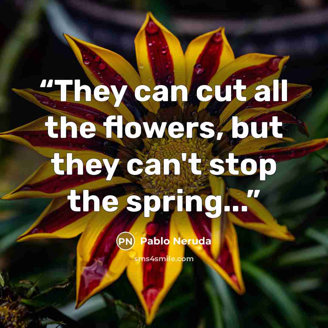 “They can cut all the flowers, but they can't stop the spring...” quote by Pablo Neruda