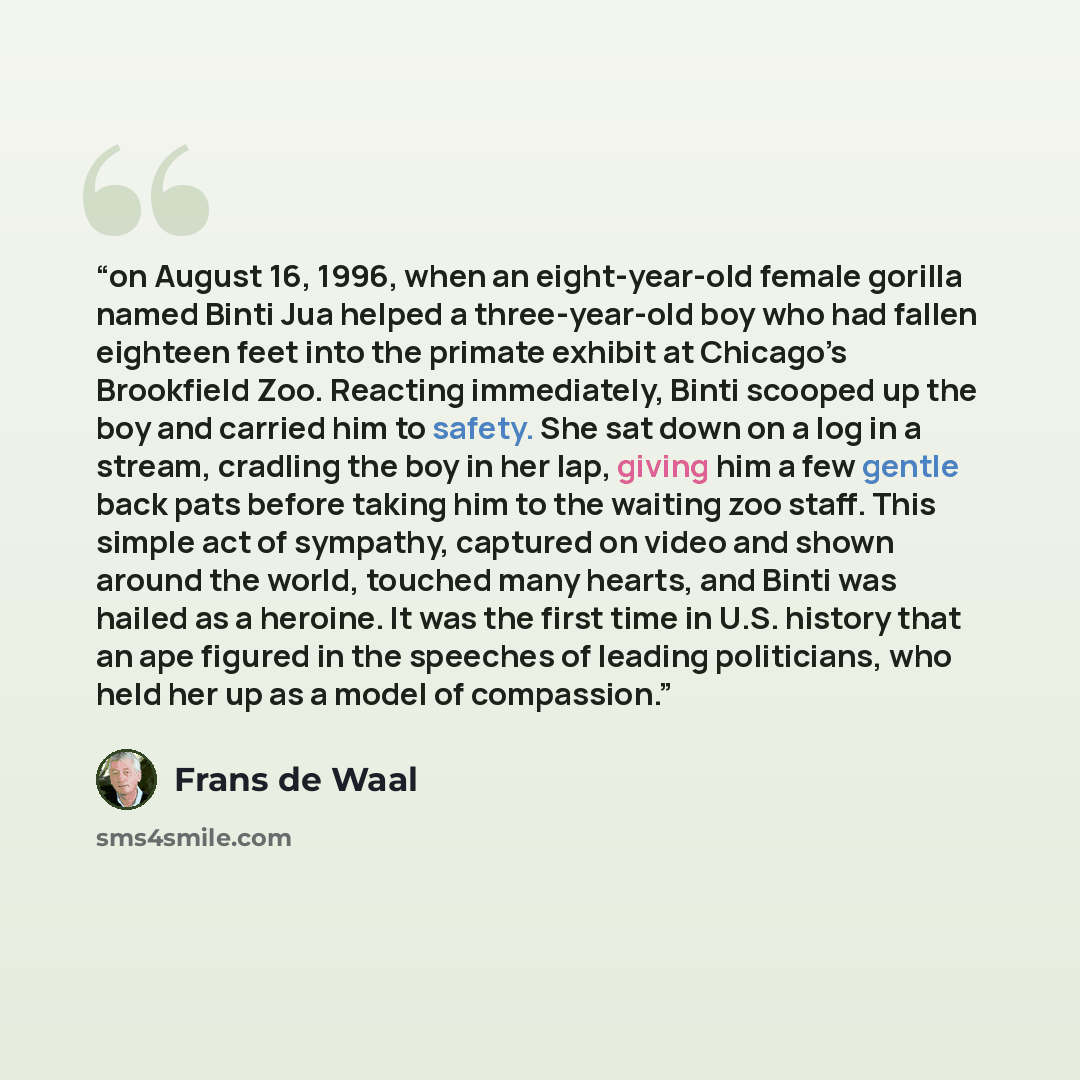 “on August 16, 1996, when an eight-year-old female gorilla named Binti Jua helped a three-year-old boy who had fallen eighteen feet into the primate exhibit at Chicago’s Brookfield Zoo. Reacting immediately, Binti scooped up the boy and carried him to safety. She sat down on a log in a stream…” quote by Frans de Waal