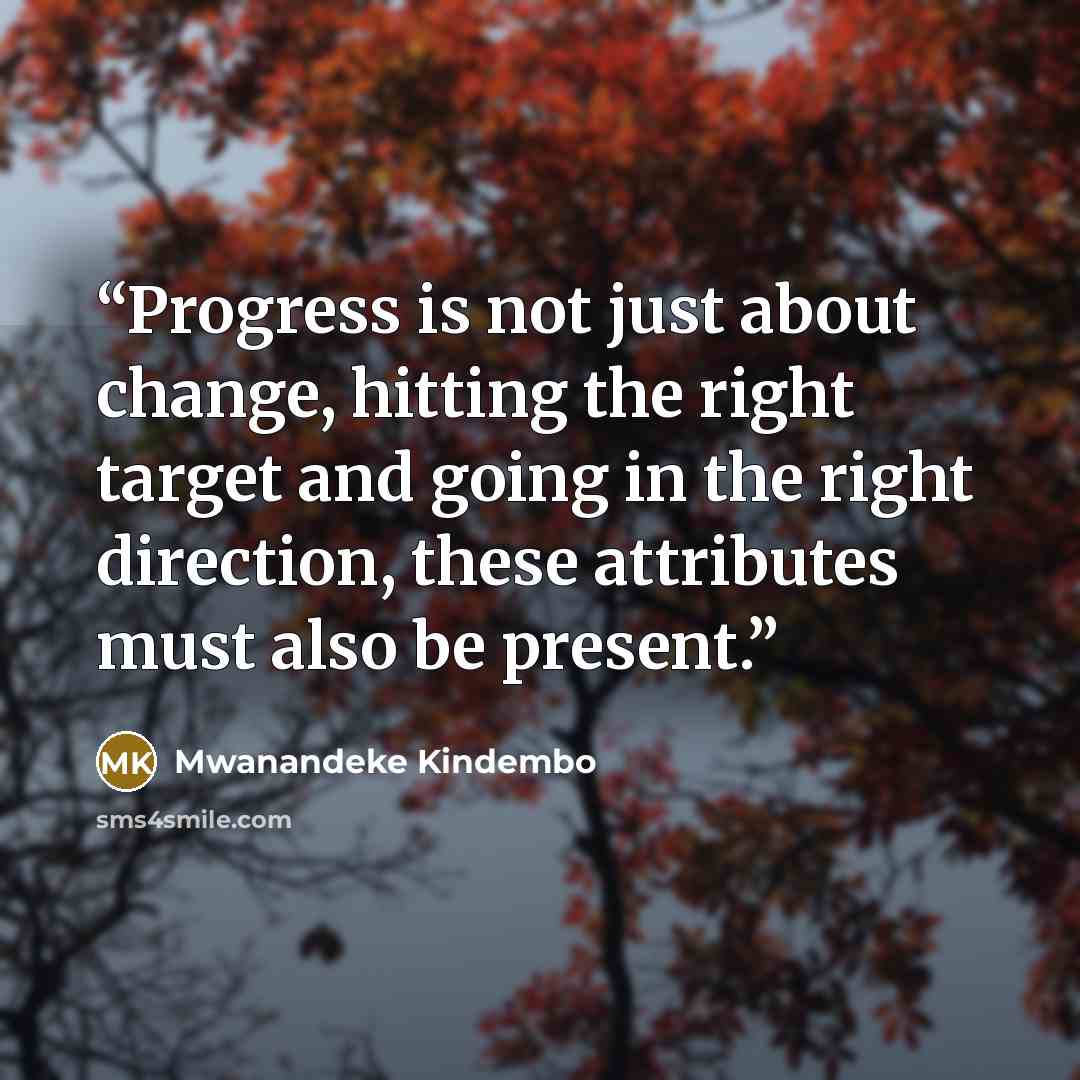 “Progress is not just about change, hitting the right target and going in the right direction, these attributes must also be present.” quote by Mwanandeke Kindembo
