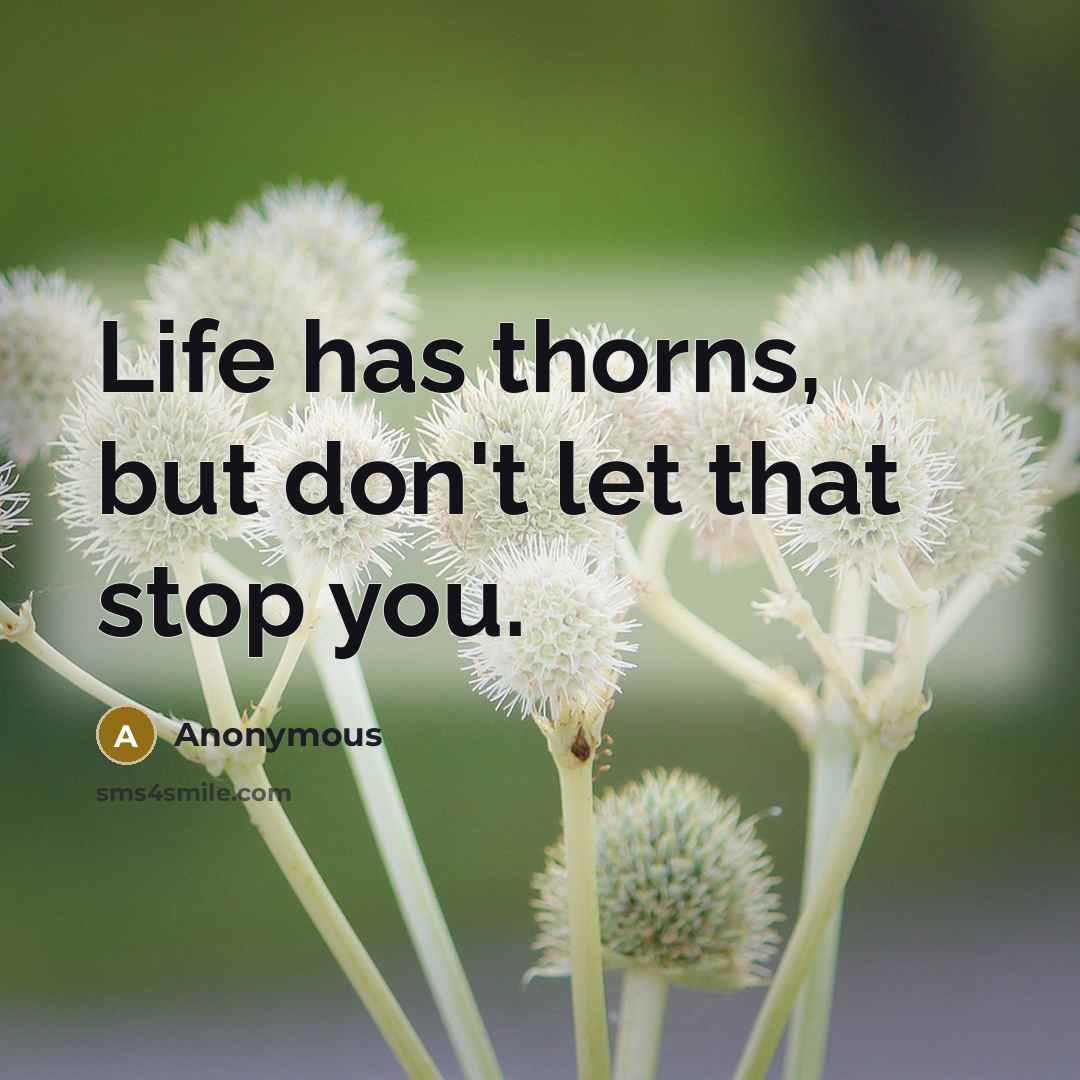 “Life has thorns, but don't let that stop you.” quote by Anonymous
